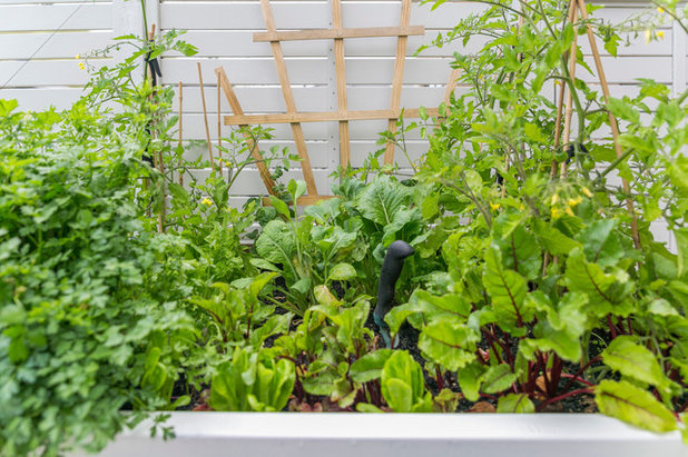 Traditional Garden by Ivy & Bloom