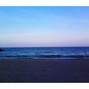 Cristi Stelea's photo