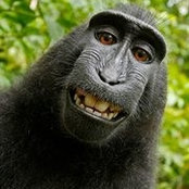 Paul Argamosa's photo