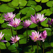 Kathy Perez's photo