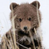 Diana Moore's photo