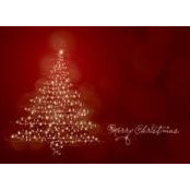 Dawn Hadley's photo