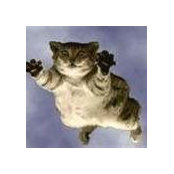 Ryan Jeffery's photo
