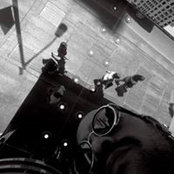 Arshia Sheibani's photo