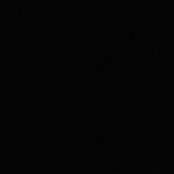 Timothy Loftus's photo