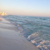 Rose March's photo