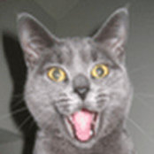 Sally Spangenberg's photo