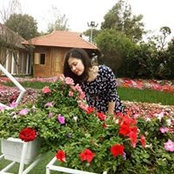 Foto von Linh Marie