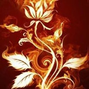 Dawn Houseman's photo