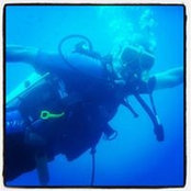 Daniel Morman's photo