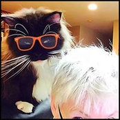Maureen Keane's photo