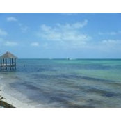 Sara Kossove's photo