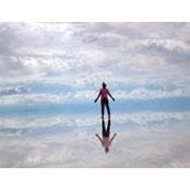Bryan Swifts foto