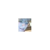 Maggi Carters foto
