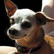 Tracy Burch's photo