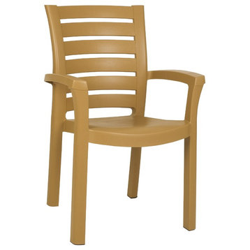 Compamia Marina Resin Dining Arm Chair Teak Brown, Set of 2