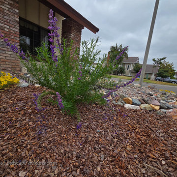 Irvine Turf Rebate Front Yard