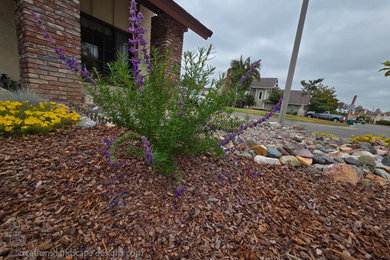 Inspiration for a mid-sized drought-tolerant front yard landscaping in Orange County.