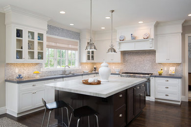 Elegant l-shaped dark wood floor and brown floor kitchen photo in San Diego with a double-bowl sink, white cabinets, granite countertops, stainless steel appliances, an island, shaker cabinets, multicolored backsplash and mosaic tile backsplash