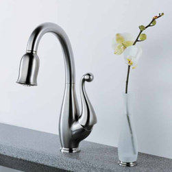 Brizo Floriano Faucet - Kitchen Faucets