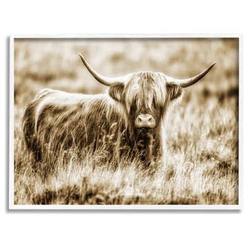 Vintage Cow In Pasture Animal Photo, 30 x 24