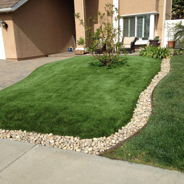 Artificial Turf After Installation