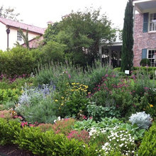 Texas Landscaping