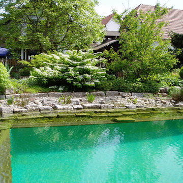 Naturpool