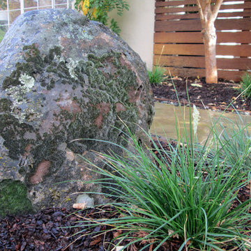 Willow Glen, San Jose CA - Boulders & Grasses