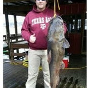 Trey Herrin's photo