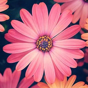 Tammey McMaster's photo