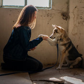 Foto di Riley Levy