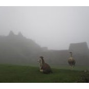 Judith Rosenfeld's photo