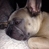 B Maria BogMaria's photo