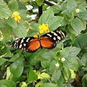 Jill Milks-Foster's photo