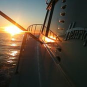 Photo de Ronnie Karchik