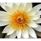 Sally Cormier's photo