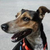 Joseph Delgado's photo