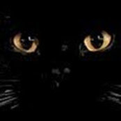 darlene dittus's photo