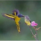 Debra August's photo