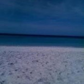 Jane Broyles's photo