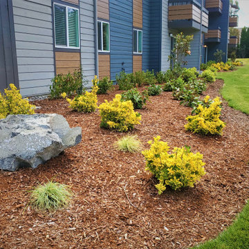 New Landscape Deign