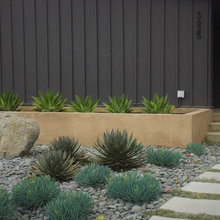 Desert design with retainer wall