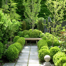 Landscape Ideas
