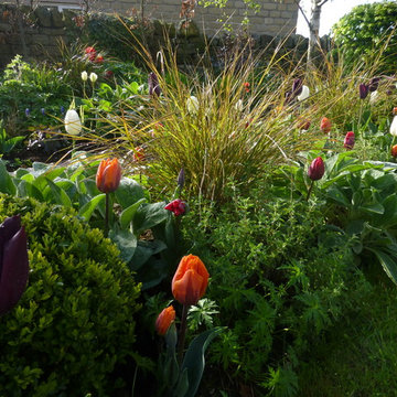 Cottage Garden