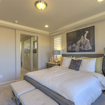 Ambition at Eastmark | Mesa, AZ | 3582 - Dream Plan