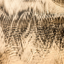 Douglas Page Photographic Arts - Sandprints Designer Series No.24 - Prints And Posters