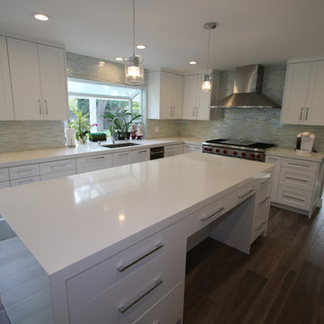 114 - Villa Park Master Bedroom, Bath Addition & Custom Design Build Kitchen