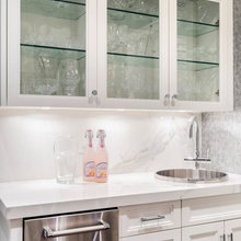 Wet Bar/Pantry/Coffee Bar