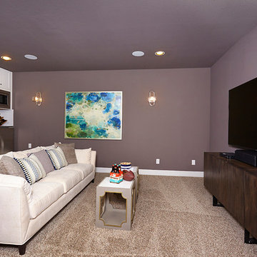 San Antonio, Texas | Signature Monarch - Afton Oaks Media Room